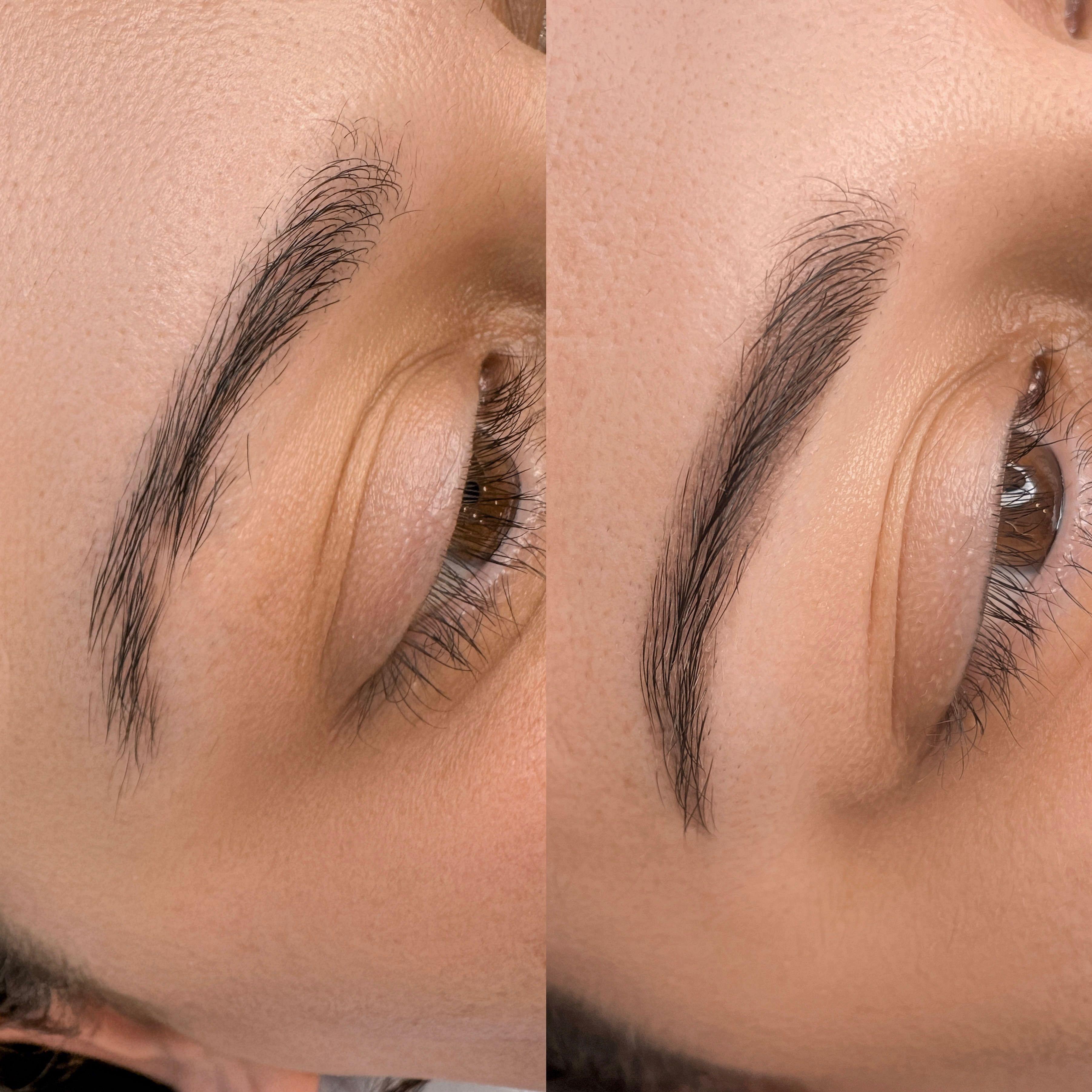 Powder Brows vs Nano Brows: Which Technique Fits You?